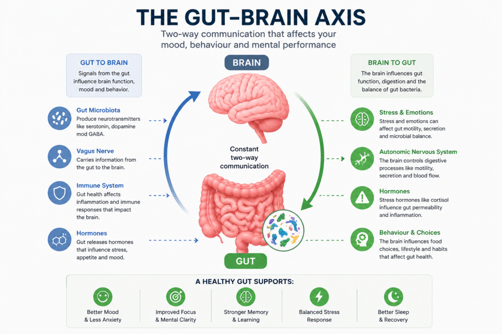 The gut-brain connection explained